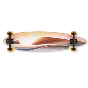Skateboard wall art, longboard cruiser
